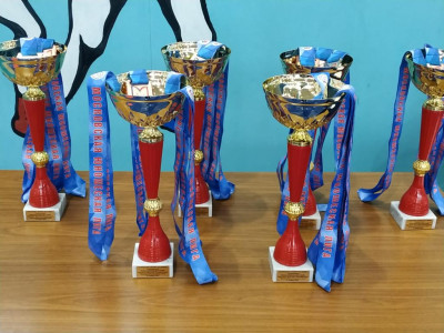 Открытый турнир по самбо "Юношеская лига" (юноши и девушки 12-14 лет)