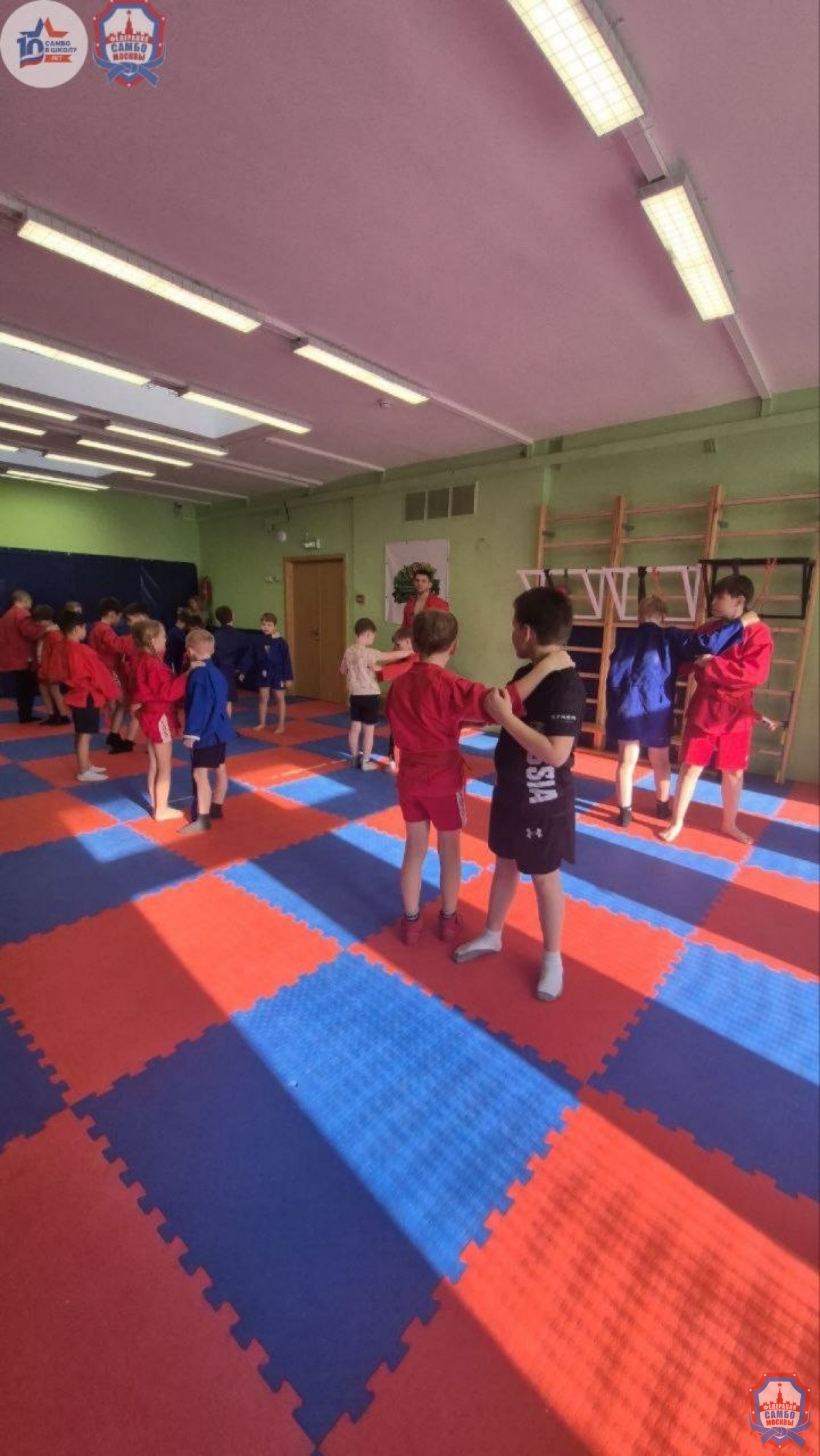 Самбо в школу: сила, ловкость, характер