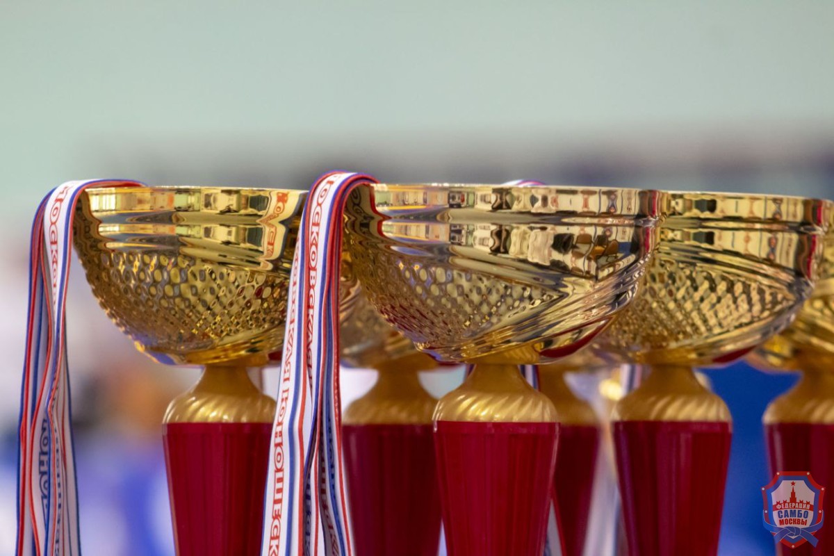 Московская Юношеская Лига, посвящённая Дню сотрудника органов внутренних дел Российской Федерации