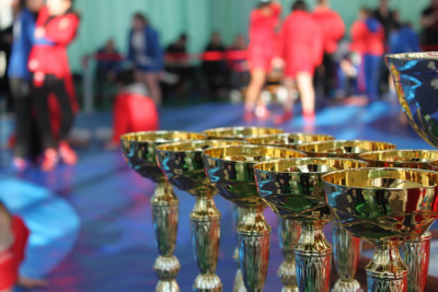 МЮЛ: Открытый турнир по самбо "Борцы за добро" прошел в Измайлово